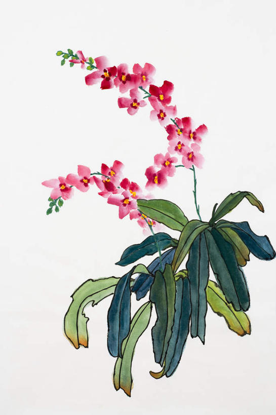 无人,竖图,室内,白天,白色背景,正面,绘画,叶子,艺术,盛开,绿叶,古典,花蕾,文化,花,花瓣,花朵,鲜花,粉色,工艺品,花苞,花蕊,品味,嫩叶,美术,高雅,国画,水墨画,美学,淡泊,花中君子,水墨,兰花,叶,叶片,彩图