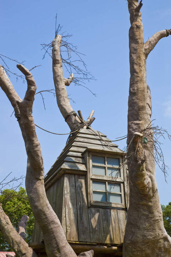 无人,家,木屋,竖图,室外,白天,仰视,旅游,度假,美景,台湾,中国,亚洲,阴影,光线,影子,景观,树桩,娱乐,住宅,树,树干,蓝色,蓝天,天空,阳光,自然,天,享受,休闲,木桩,景色,放松,晴朗,自然风光,东亚,万里无云,港澳台,中华人民共和国,台湾省,晴空,晴空万里,彩图,低角度拍摄,茅舍,茅屋,棚屋,小木屋,小屋,树屋,台