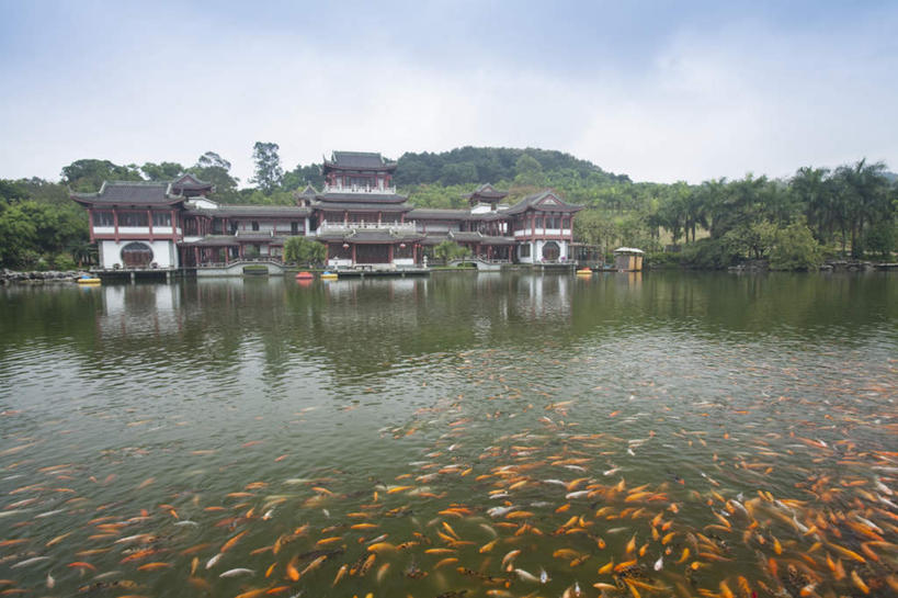 游泳,无人,公园,家,寺庙,横图,室外,白天,正面,旅游,度假,河流,石头,美景,森林,山,山脉,树林,水,植物,建筑,中国,亚洲,许多,阴影,光线,金鱼,鱼,石子,瓦片,影子,房屋,屋子,河水,景观,山顶,山峰,水流,云,云朵,塔,山峦,很多,云彩,瓦,娱乐,鱼类,宝塔,楼房,住宅,树,树木,蓝色,绿色,白云,蓝天,天空,阳光,自然,庙宇,群山,天,享受,休闲,景色,放松,建造,生长,晴朗,成长,广西,自然风光,东亚,沉积岩,屋瓦,南宁,广西壮族自治区,首府,中华人民共和国,桂,华南地区,南宁市,观赏鱼,金鲫鱼,泅水,颠峰,极峰,浮图,浮屠,拍浮,水成岩,石块,岩石,晴空,半身,彩图,房子,庙,寺,青秀区,青秀山公园