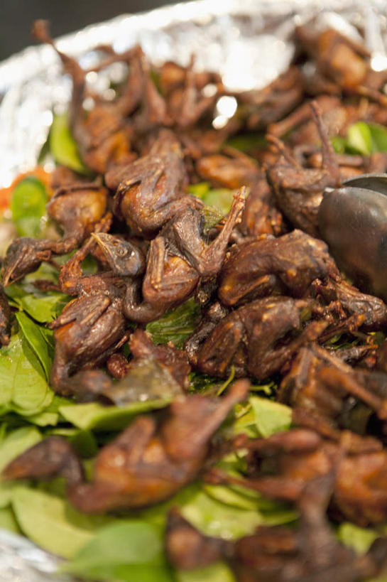 无人,竖图,俯视,室内,特写,白天,友谊,植物,鸽子,鸟,餐具,叶子,许多,朦胧,模糊,鸟类,碟子,盘,纹理,肉,绿叶,很多,肉类,一个,绿色,盘子,碟,嫩叶,单个,象征,和平,肉食,肌理,信使,叶,叶片,叶脉,彩图,高角度拍摄