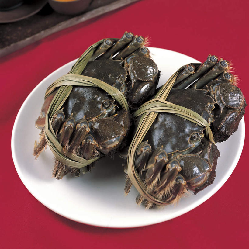 蟹,无人,方图,俯视,室内,特写,白天,烹饪,中餐,餐具,阴影,红色背景,反射,螃蟹,碟子,盘,影子,料理,食品,菜肴,美食,食物,两个,盘子,碟,中式,摄影,佳肴,影棚,毛蟹,大闸蟹,河蟹,中华绒螯蟹,彩图,高角度拍摄,影棚拍摄,拍摄