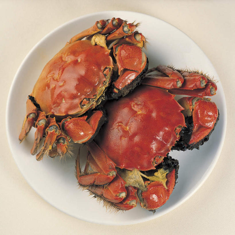 蟹,无人,方图,俯视,室内,特写,白天,白色背景,烹饪,中餐,餐具,阴影,反射,螃蟹,碟子,盘,影子,料理,食品,菜肴,美食,食物,盘子,碟,中式,摄影,佳肴,影棚,毛蟹,大闸蟹,河蟹,中华绒螯蟹,彩图,高角度拍摄,影棚拍摄,拍摄