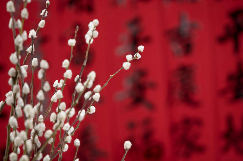 无人,横图,室内,特写,白天,正面,对联,一排,阴影,朦胧,模糊,艺术,整齐,盛开,反射,标志,文字,影子,字符,手工艺品,花蕾,文化,标识,花,花瓣,花朵,鲜花,排列,工艺品,花苞,花蕊,汉字,春联,高雅,队列,中国文化,中文,自信心,品位,国文,华文,彩图,对子,楹联