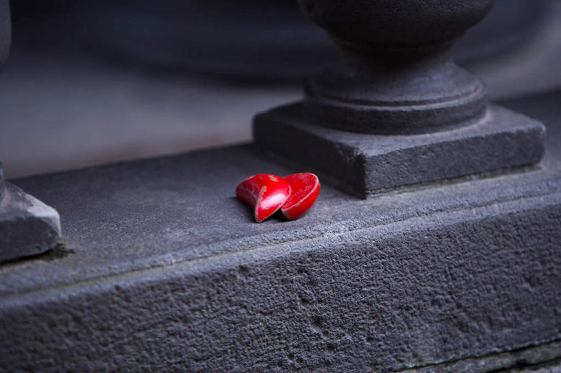 无人,横图,俯视,室外,特写,白天,静物,雕塑,阴影,节日,艺术,装饰,反射,雕刻,雕像,工具,影子,文化,石雕,两个,红色,工艺品,祈祷,健康,许愿,宗教,信仰,纪念,祈求,美术,主题,占卜,陈列,算命,功能,美学,平安,彩图,高角度拍摄,跋杯,杯筊,杯珓,杯教,杯校,碑珓,筊杯,筊贝,珓杯,珓儿