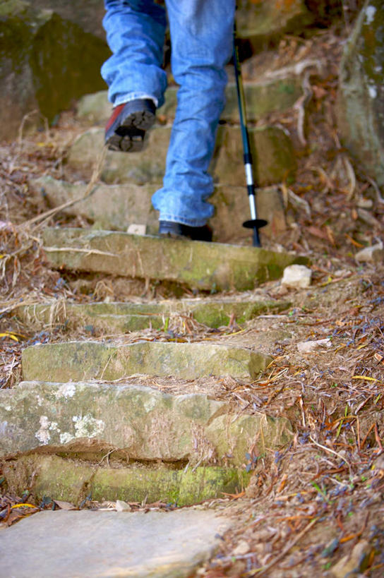 东方人,腿部,腿,一个人,走,攀登,竖图,室外,白天,锻炼,旅游,度假,探险,运动,攀岩,楼梯,道路,路,亚洲,仅一个男性,仅一个人,裤子,工具,器材,阶梯,小路,交通,牛仔裤,黄种人,娱乐,极限运动,台阶,仅一个年轻男性,背面,享受,休闲,器械,爬,放松,拐杖,室外运动,户外运动,登山杖,辅助设备,登山棍,冒险,体育,男人,男性,年轻男性,亚洲人,步行,登山,爬山,攀爬,散步,走路,半身,彩图,健身