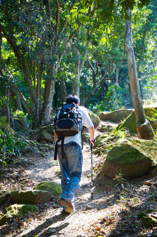 东方人,一个人,走,攀登,竖图,室外,白天,锻炼,旅游,度假,探险,运动,攀岩,石头,森林,树林,植物,亚洲,仅一个男性,仅一个人,握,阴影,服装,光线,包,工具,器材,石子,影子,拿,旅行包,拿着,休闲装,黄种人,娱乐,极限运动,树,树木,仅一个年轻男性,背面,衣服,绿色,阳光,自然,背包,享受,休闲,休闲服,器械,爬,放松,握着,服饰,生长,成长,拐杖,室外运动,户外运动,登山杖,辅助设备,旅游包,登山棍,冒险,体育,男人,男性,年轻男性,亚洲人,石块,岩石,步行,登山,爬山,攀爬,散步,走路,彩图,全身,健身,双肩包