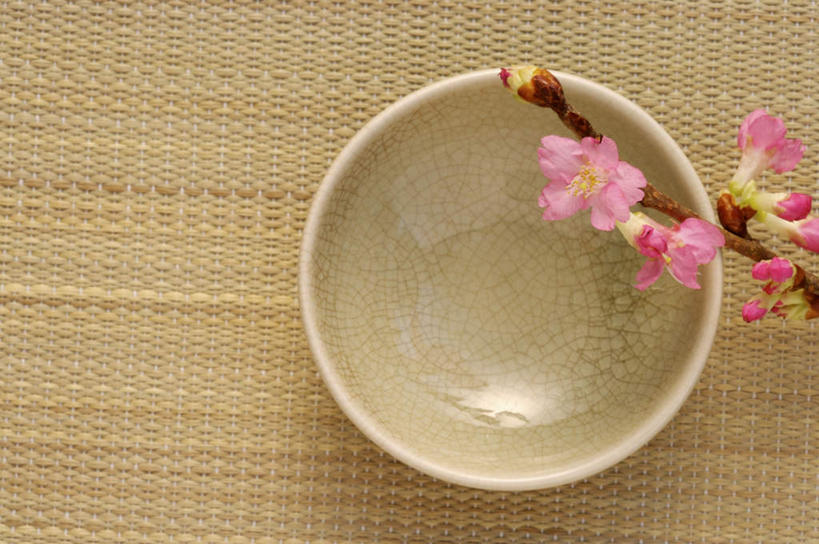 无人,横图,俯视,室内,特写,白天,幸福,纯洁,植物,樱花,阴影,盛开,反射,影子,陶瓷,枝条,陶瓷制品,塌塌米,榻榻米,花蕾,花,花瓣,花朵,鲜花,树,树木,树枝,一个,粉色,容器,碗,花苞,花蕊,摄影,影棚,单个,等待,储藏,生命,储存,仙樱花,福岛樱,青肤樱,高尚,热烈,虬枝,枝杈,叠席,荆桃,彩图,高角度拍摄,影棚拍摄,拍摄,贮存