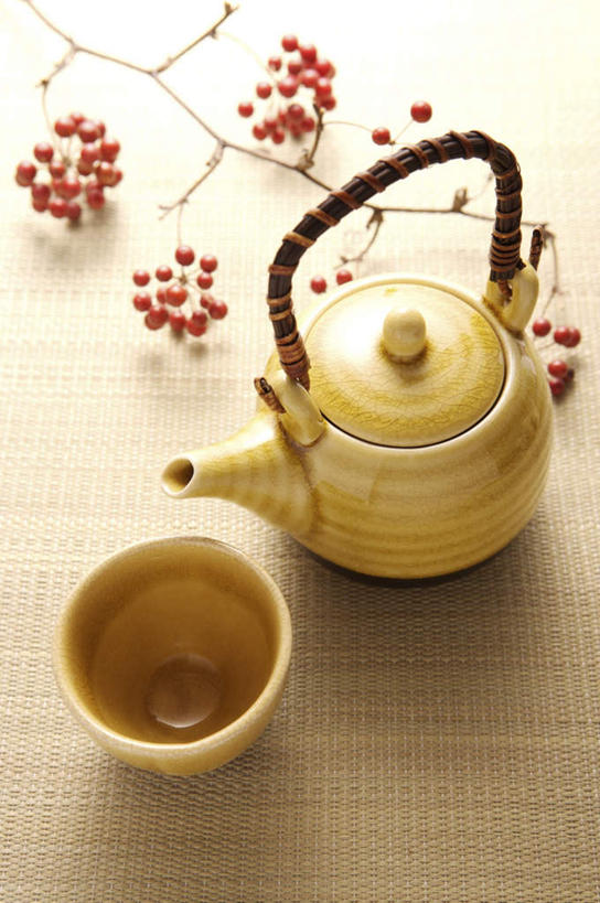 无人,竖图,俯视,室内,特写,白天,幸福,植物,茶,杯子,阴影,反射,壶,影子,茶叶,枝条,塌塌米,榻榻米,娱乐,水壶,树,树木,树枝,一个,茶壶,容器,水杯,享受,休闲,温馨,放松,乐趣,摄影,影棚,单个,提神,舒适,醒脑,虬枝,枝杈,叠席,茶杯,彩图,高角度拍摄,影棚拍摄,拍摄