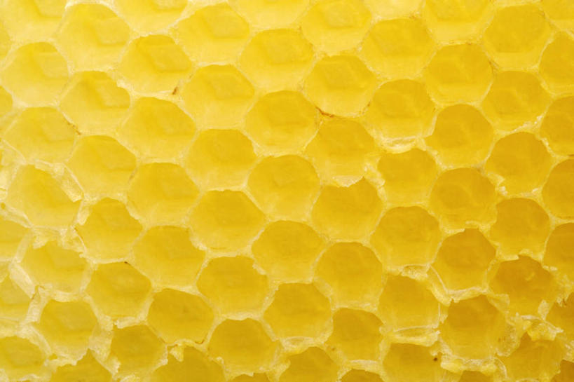 蜂蜜,无人,横图,俯视,室内,特写,白天,蜂巢,蜂窝,黄色,花蜜,止痛,解毒,冬酿,石蜜,彩图,高角度拍摄