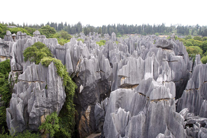 无人,横图,俯视,室外,白天,旅游,度假,草地,草坪,石头,美景,山,山脉,石林,树林,植物,昆明,中国,亚洲,石子,景观,山峰,山峦,喀斯特,娱乐,云南,草,树,树木,绿色,自然,群山,享受,休闲,景色,放松,生长,成长,自然风光,昆明市,东亚,喀斯特地貌,云南省,中华人民共和国,省会,西南地区,滇,石灰石,石林县,石林彝族自治县,石块,彩图,高角度拍摄,云南石林地质公园,岩溶,岩溶地貌
