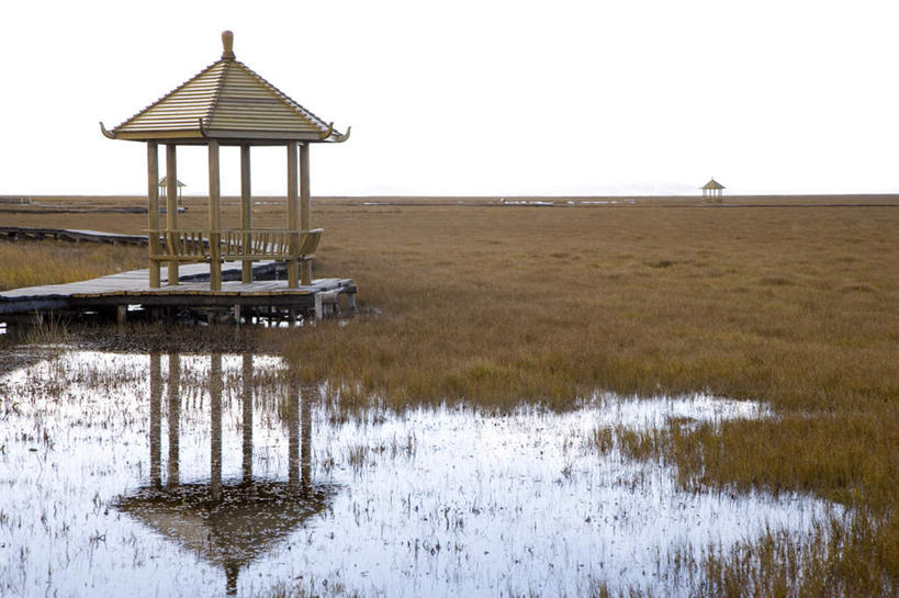 无人,横图,室外,白天,正面,旅游,度假,美景,植物,建筑,中国,亚洲,枯萎,瓦片,亭子,屋顶,地平线,景观,辽阔,枯草,地面,顶棚,瓦,娱乐,草,黄色,倒影,自然,凉亭,享受,休闲,广阔,景色,放松,建造,四川省,一望无际,沼泽,倒映,自然风光,延伸,东亚,屋瓦,四川,阿坝,中华人民共和国,天地相交,西南地区,阿坝藏族羌族自治州,阿坝州,川,池沼,无边无际,一马平川,反照,彩图,花湖,热尔大坝,若尔盖县