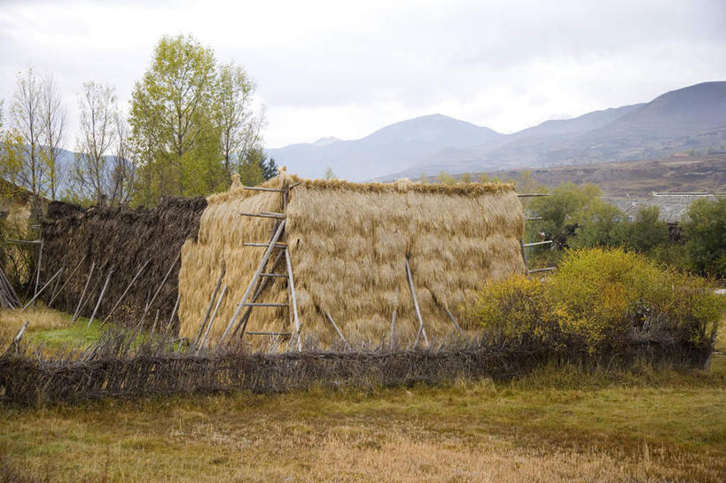 无人,横图,室外,白天,正面,旅游,度假,美景,山,山脉,植物,中国,亚洲,枯萎,景观,山峰,乌云,云,阴天,云朵,枯草,山峦,云彩,娱乐,草,树,树木,黄色,绿色,天空,自然,群山,天,享受,休闲,景色,放松,四川省,生长,成长,昏暗,阴沉,自然风光,东亚,四川,中华人民共和国,西南地区,川,川主寺镇,松潘县,松州,松潘,彩图,川主寺,卓仑贡巴