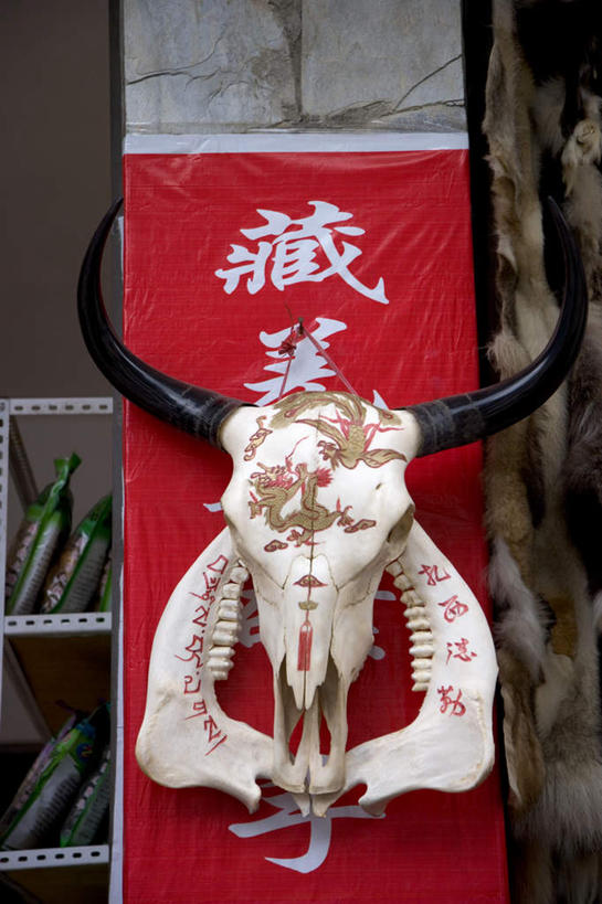 骨骼,无人,竖图,室外,特写,白天,正面,牛,中国,亚洲,标志,头骨,文字,字符,骨头,标识,动物,汉字,家畜,牲畜,四川省,死亡,骨架,中文,东亚,四川,中华人民共和国,西南地区,国文,华文,川,殒命,灭亡,彩图