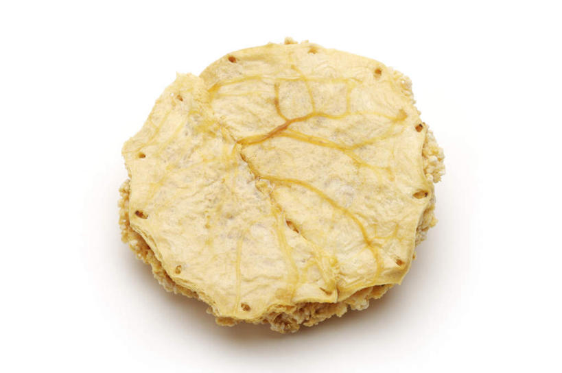 无人,横图,俯视,室内,特写,白天,白色背景,植物,阴影,反射,影子,草药,药草,中药,摄影,影棚,药材,中草药,中药材,本草,胎盘,彩图,高角度拍摄,影棚拍摄,拍摄