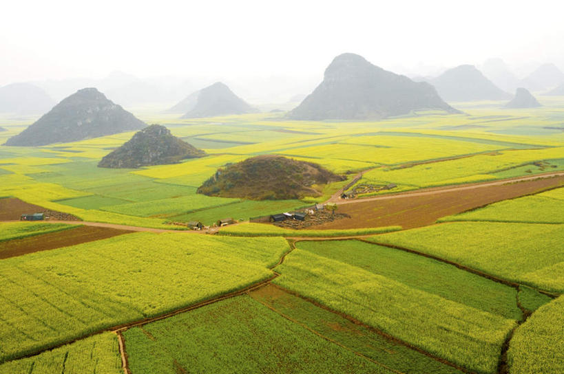 无人,农田,横图,室外,白天,正面,旅游,度假,庄稼,农作物,草地,草坪,美景,山,山脉,植物,雾,中国,亚洲,朦胧,模糊,景观,山峰,山峦,娱乐,云南,草,树,树木,绿色,自然,群山,享受,休闲,景色,放松,生长,成长,迷雾,自然风光,东亚,罗平,云南省,曲靖市,曲靖,罗平县,金鸡山,中华人民共和国,西南地区,滇,大雾,彩图,耕地,庄稼田