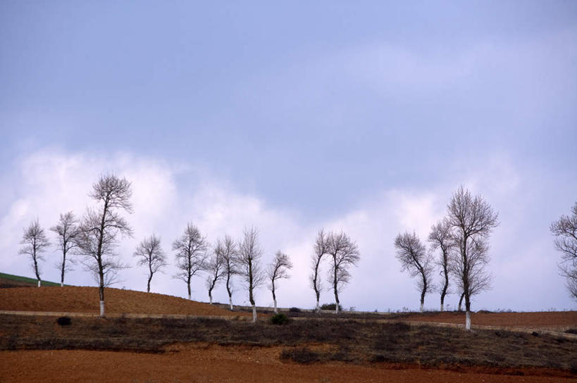 无人,横图,室外,白天,正面,旅游,度假,美景,树林,植物,昆明,中国,亚洲,阴影,光线,影子,景观,云,云朵,云彩,娱乐,云南,树,树木,蓝色,绿色,白云,蓝天,天空,阳光,自然,天,享受,休闲,景色,放松,生长,晴朗,成长,自然风光,昆明市,东亚,云南省,东川,中华人民共和国,省会,西南地区,滇,晴空,彩图,东川红土地,东川区,新田乡