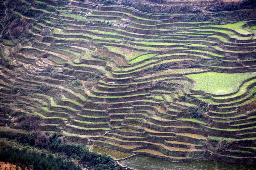 无人,农田,横图,俯视,航拍,室外,白天,旅游,度假,庄稼,梯田,农作物,草地,草坪,美景,山,山脉,植物,中国,亚洲,阴影,曲折,弯曲,光线,纹路,纹理,影子,景观,山峰,山峦,娱乐,云南,草,树,树木,绿色,阳光,自然,群山,享受,休闲,景色,放松,蜿蜒,生长,成长,鸟瞰,自然风光,东亚,罗平,云南省,曲靖市,曲靖,罗平县,肌理,中华人民共和国,西南地区,滇,彩图,高角度拍摄,耕地,庄稼田