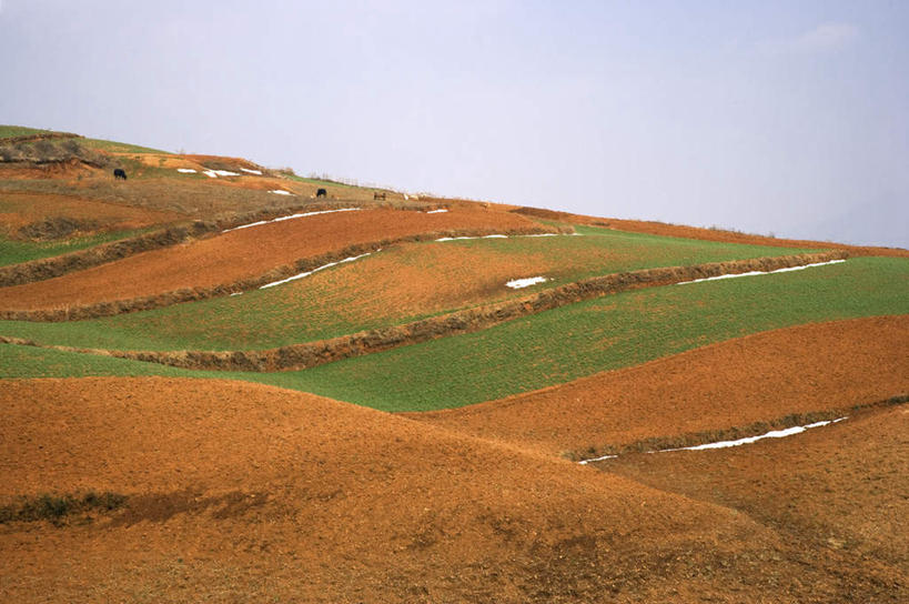 无人,农田,横图,室外,白天,正面,旅游,度假,庄稼,农作物,美景,山,山脉,昆明,中国,亚洲,阴影,光线,影子,景观,泥土,山峰,土壤,山峦,娱乐,云南,红色,蓝色,蓝天,天空,阳光,自然,群山,天,享受,休闲,景色,放松,晴朗,自然风光,昆明市,东亚,云南省,东川,万里无云,中华人民共和国,省会,西南地区,滇,晴空,晴空万里,彩图,耕地,庄稼田,东川红土地,东川区,新田乡