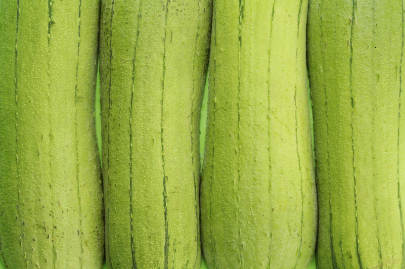 无人,横图,俯视,室内,特写,白天,蔬菜,一排,新鲜,整齐,菜瓜,丝瓜,食品,四根,食物,排列,绿色,有机食品,绿色食品,队列,胜瓜,布瓜,天罗,彩图,高角度拍摄