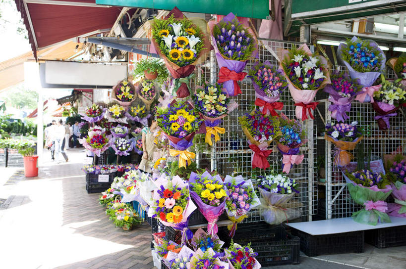 无人,花店,商店,横图,室外,白天,正面,度假,美景,植物,城市风光,城市,香港,中国,亚洲,阴影,盛开,光线,影子,景观,花蕾,娱乐,商铺,花,花瓣,花朵,鲜花,树,树木,绿色,阳光,自然,花苞,花蕊,享受,休闲,景色,放松,生长,成长,港,东亚,九龙,旺角,香港特别行政区,港澳台,中华人民共和国,市肆,商号,九龙半岛,油尖旺区,彩图,店铺