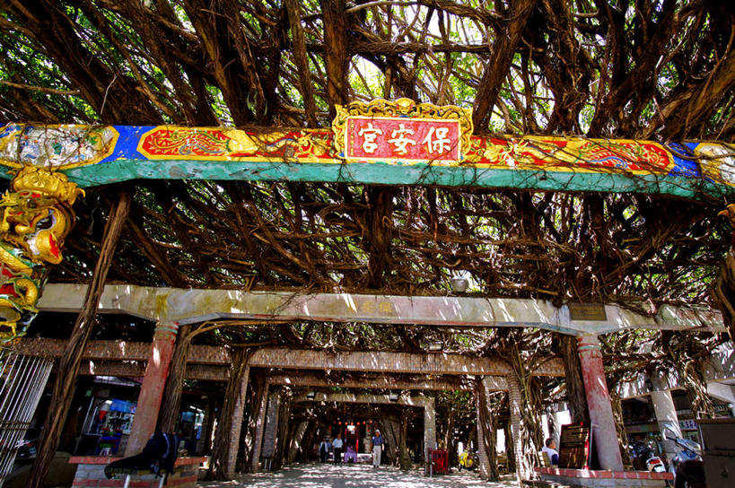 无人,横图,室外,白天,仰视,旅游,度假,美景,植物,雕塑,台湾,中国,亚洲,阴影,艺术,装饰,光线,标志,雕刻,牌匾,文字,影子,字符,景观,文化,娱乐,标识,树,树木,绿色,阳光,自然,工艺品,享受,休闲,汉字,景色,放松,生长,成长,纪念,美术,中文,自然风光,主题,陈列,东亚,港澳台,中华人民共和国,功能,美学,国文,华文,台湾省,彩图,低角度拍摄,澎湖群岛,台