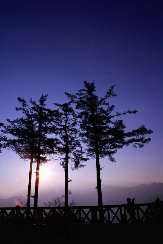 无人,竖图,室外,白天,正面,旅游,度假,日出,美景,太阳,植物,台湾,中国,亚洲,景观,朝霞,晨曦,黎明,娱乐,树,树木,绿色,阳光,自然,享受,休闲,景色,放松,生长,成长,自然风光,东亚,嘉义,阿里山,港澳台,中华人民共和国,台湾省,嘉义市,朝阳,彩图,破晓,台