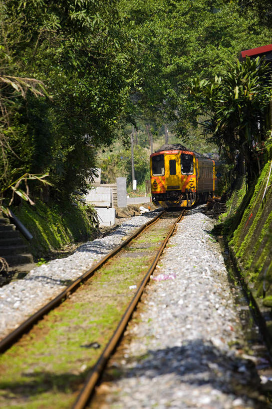 无人,竖图,室外,白天,正面,度假,美景,树林,植物,城市风光,城市,路,铁路,火车,台湾,中国,亚洲,一辆,景观,轨道,交通,铁轨,娱乐,车,树,树木,绿色,自然,交通工具,享受,休闲,景色,放松,运输,生长,成长,载具,东亚,台北县,港澳台,中华人民共和国,台湾省,新北,新北市,彩图,平溪区,台