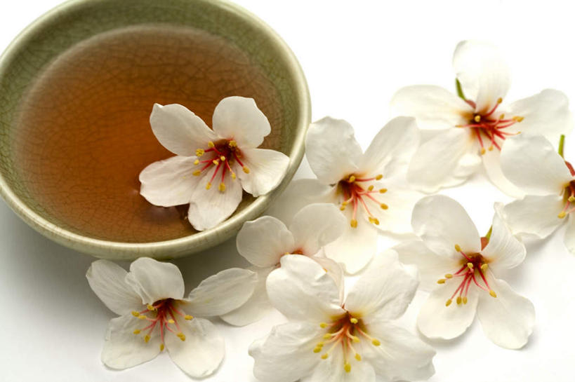 无人,横图,俯视,室内,特写,白天,白色背景,幸福,茶,杯子,许多,阴影,盛开,反射,影子,茶叶,一杯,花蕾,娱乐,花,花瓣,花朵,鲜花,排列,一个,白色,水杯,花苞,花蕊,享受,休闲,温馨,放松,乐趣,摄影,影棚,单个,提神,舒适,醒脑,摆列,茶杯,彩图,高角度拍摄,影棚拍摄,拍摄,心神不宁,情窦初开,油桐花,三平桐,光桐,布列,分列