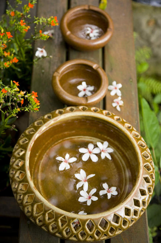 无人,竖图,俯视,室外,特写,白天,草地,草坪,美景,植物,台湾,中国,亚洲,许多,阴影,朦胧,模糊,盛开,光线,影子,景观,花蕾,草,花,花瓣,花朵,鲜花,绿色,白色,阳光,自然,花苞,花蕊,景色,自然风光,东亚,港澳台,中华人民共和国,台湾省,彩图,高角度拍摄,心神不宁,情窦初开,苗栗县,苗栗,油桐花,三平桐,光桐,台