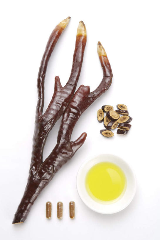 无人,竖图,俯视,室内,特写,白天,白色背景,安全,植物,餐桌,桌子,灵芝,餐具,阴影,反射,碟子,盘,药剂,药丸,影子,菌菇,草药,药草,防护,药片,中药,一个,盘子,药品,碟,治疗,摄影,影棚,单个,餐台,保护,药物,医疗,鹿角,药材,中草药,保险,预防,中药材,本草,鹿茸,芝草,平安,仙草,神芝,瑞草,灵芝草,彩图,高角度拍摄,影棚拍摄,拍摄