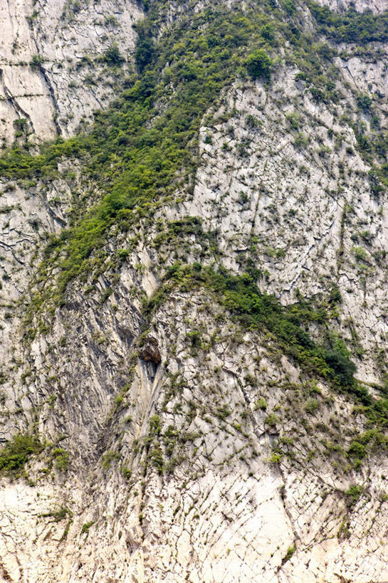 无人,竖图,室外,白天,正面,旅游,度假,石头,美景,山,山脉,植物,长江三峡,重庆,中国,亚洲,石子,景观,山峰,山峦,娱乐,树,树木,绿色,自然,群山,享受,休闲,景色,放松,生长,成长,自然风光,东亚,湖北,湖北省,中华人民共和国,西南地区,重庆市,渝,奉节县,巫山县,华中地区,鄂,宜昌,宜昌市,恩施,恩施州,恩施土家族苗族自治州,巴东县,石块,岩石,彩图,白帝城,南津关,秭归,秭归县