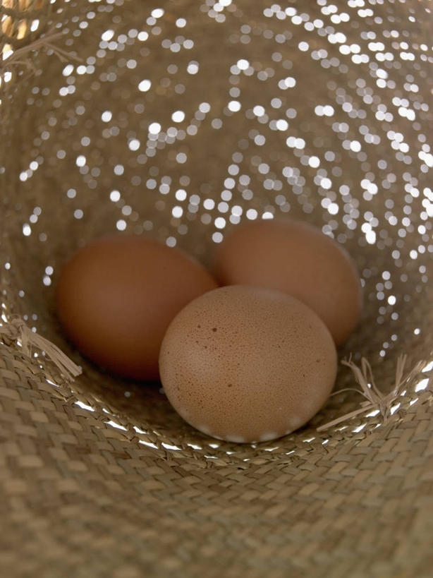 无人,交叉,竖图,室内,特写,白天,正面,金属制品,阴影,编织,光线,金属,篮子,影子,蛋,鸡蛋,三个,阳光,容器,储藏,交织,储存,卵,穿插,彩图,贮存