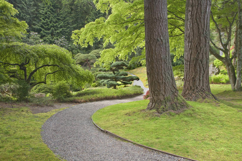 无人,横图,室外,特写,白天,正面,草地,草坪,植物,道路,路,华盛顿,美国,阴影,曲折,弯曲,光线,影子,小路,树桩,交通,草,树,树干,树木,绿色,阳光,自然,木桩,蜿蜒,乡间小路,生长,成长,北美,北美洲,美洲,华盛顿州,常绿之州,常青州,北亚美利加洲,亚美利加洲,班布里奇岛,彩图