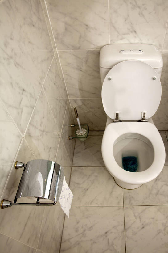 无人,竖图,俯视,室内,特写,白天,生活用品,卫生间,洗手间,瓷砖,地砖,工具,马桶,墙,地面,墙壁,墙面,一个,刷子,日用品,座便器,单个,抽水马桶,马桶刷,清洁用具,卫浴,子孙桶,卷纸架,卷纸器,厕所,彩图,高角度拍摄