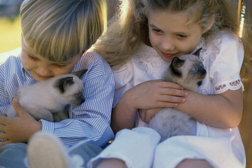 西方人,儿童,两个人,伙伴,朋友,坐,抱,笑,微笑,横图,室外,白天,正面,友谊,纯洁,宠物,猫,欧洲,欧洲人,阴影,服装,朦胧,模糊,光线,暹罗猫,影子,注视,休闲装,小孩,衣服,阳光,动物,观察,看,两只,休闲,休闲服,可爱,童年,童趣,服饰,抱着,观看,察看,搂着,关注,猫咪,童真,烂漫,无邪,泰国猫,西母猫,天真,友情,男孩,男人,男性,女孩,女人,女性,白种人,搂,搂抱,坐着,半身,彩图,男生,女生