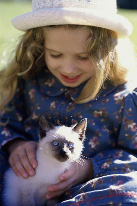 西方人,儿童,一个人,坐,笑,摸,微笑,露齿笑,竖图,室外,白天,正面,纯洁,草地,草坪,植物,宠物,猫,帽子,欧洲,欧洲人,仅一个女性,仅一个人,抚摸,阴影,服装,朦胧,模糊,光线,暹罗猫,影子,注视,休闲装,草,一只,小孩,衣服,绿色,阳光,动物,遮阳帽,低头,观察,看,仅一个小孩,休闲,休闲服,可爱,童年,童趣,服饰,观看,察看,关注,猫咪,童真,烂漫,无邪,一顶,泰国猫,西母猫,天真,女孩,女人,女性,白种人,孩子,触摸,接触,坐着,半身,彩图,女生