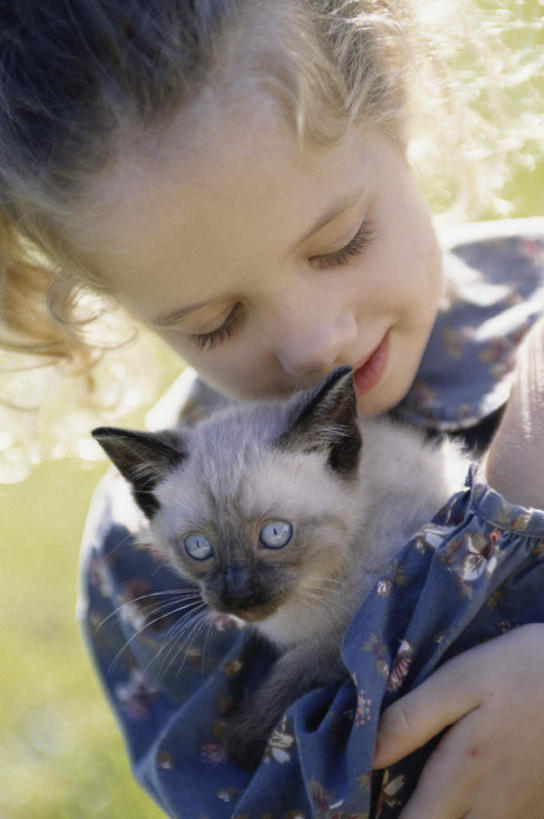 西方人,儿童,脸,头,脸颊,一个人,抱,笑,微笑,竖图,室外,特写,白天,正面,纯洁,草地,草坪,植物,宠物,猫,欧洲,欧洲人,仅一个女性,仅一个人,阴影,服装,朦胧,模糊,光线,暹罗猫,影子,注视,休闲装,肩膀,草,一只,小孩,衣服,绿色,阳光,动物,低头,观察,看,仅一个小孩,休闲,休闲服,可爱,童年,童趣,服饰,抱着,观看,察看,搂着,关注,猫咪,童真,烂漫,无邪,泰国猫,西母猫,天真,女孩,女人,女性,白种人,孩子,头部,脸部,脸蛋,面部,搂,搂抱,半身,彩图,女生