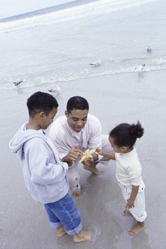 西方人,儿童,中年人,三个人,家庭,父亲,女儿,儿子,站,蹲,笑,微笑,露齿笑,竖图,俯视,室外,白天,旅游,度假,纯洁,海浪,海洋,美景,沙滩,海鸟,海鸥,海星,鸟,欧洲,非洲,黑人,欧洲人,握,阴影,服装,光线,鸟类,沙子,影子,海岸,景观,浪花,沙地,注视,休闲装,娱乐,海洋生物,小孩,衣服,阳光,自然,海水,动物,观察,看,站着,享受,休闲,温暖,温馨,父女,父子,一家人,休闲服,生物,景色,放松,父爱,可爱,童年,童趣,握着,服饰,观看,和睦,察看,关注,自然风光,卫衣,海景,童真,烂漫,无邪,天真,棘皮动物门,男孩,男人,男性,女孩,女人,女性,中年男性,非洲人,孩子,大海,风浪,海,海水的波动,海滩,近岸浪,涌浪,星鱼,蹲着,站立,彩图,高角度拍摄,全身,融洽,男生,女生