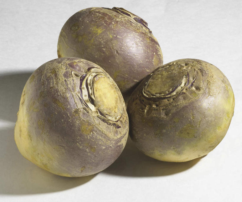 无人,横图,俯视,室内,特写,白天,白色背景,萝卜,白萝卜,蔬菜,阴影,新鲜,反射,影子,食品,食物,三个,摄影,有机食品,绿色食品,影棚,莱菔,彩图,高角度拍摄,影棚拍摄,拍摄