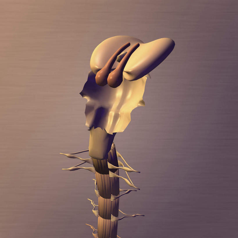 脊髓,无人,方图,插画,室内,白天,正面,数码,科技,阴影,网络,高光,几何,计算机图形,合成,图画,画,电脑合成图,数码合成图,人体器官,器官,合成图,漫画,写实,具体,具象,脊柱,彩图,丘脑下部,神经中枢,下丘脑