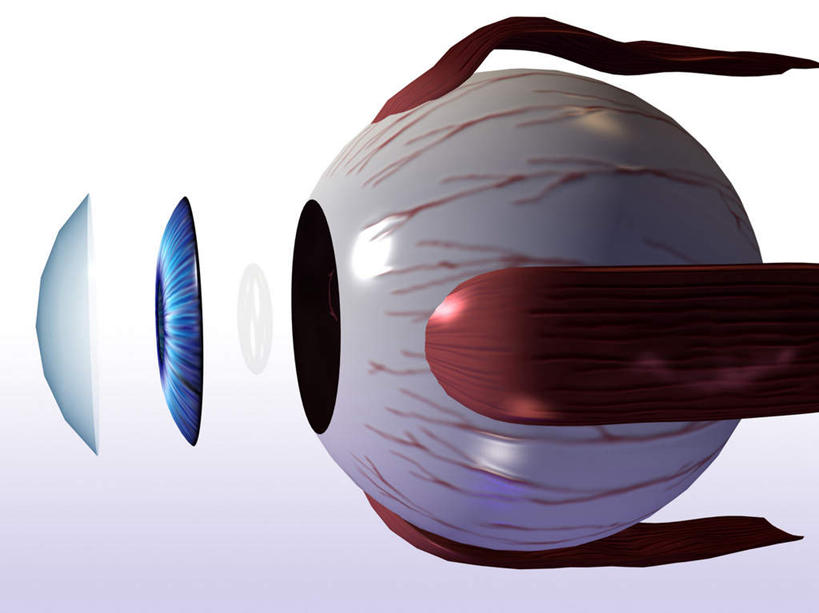 无人,横图,插画,室内,特写,白天,白色背景,正面,数码,科技,静物,瞳孔,阴影,网络,医学,高光,几何,计算机图形,合成,图画,画,一个,模型,人体,眼部,单个,电脑合成图,数码合成图,生物学,视网膜,眼球,人体器官,器官,合成图,漫画,生理学,写实,具体,具象,巩膜,角膜,视觉器官,眼房,眼球壁,眼,彩图