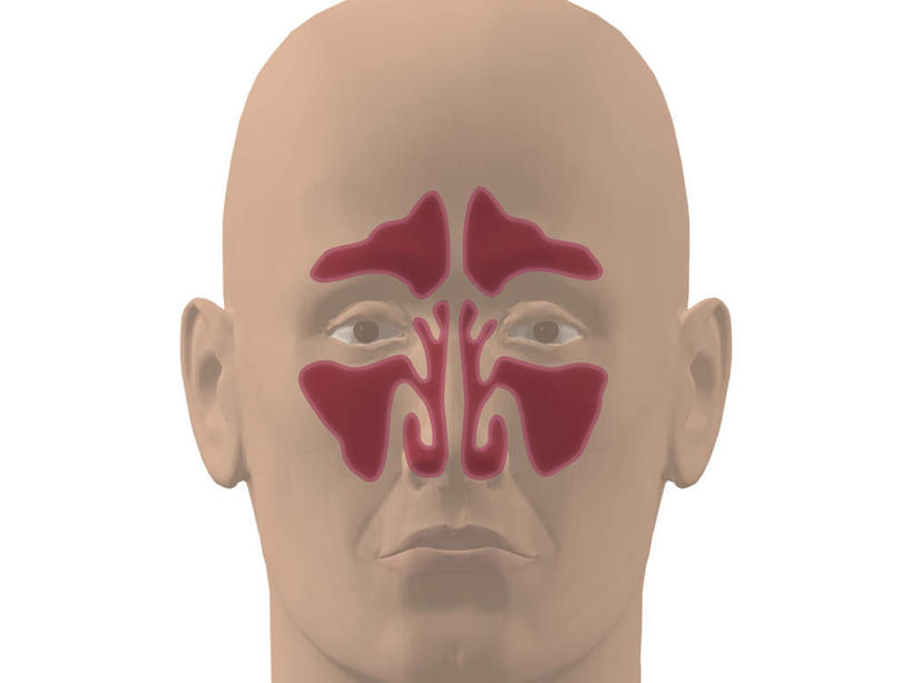 西方人,头,鼻子,内脏,动脉,静脉,一个人,无人,横图,插画,室内,特写,白天,白色背景,正面,数码,科技,静物,欧洲,欧洲人,仅一个男性,仅一个人,阴影,网络,医学,高光,几何,计算机图形,合成,图画,注视,画,仅一个年轻男性,红色,模型,观察,看,人体,观看,电脑合成图,数码合成图,察看,生物学,人体器官,器官,合成图,关注,漫画,鼻腔,生理学,写实,具体,具象,男人,男性,年轻男性,白种人,头部,鼻,鼻孔,半身,彩图