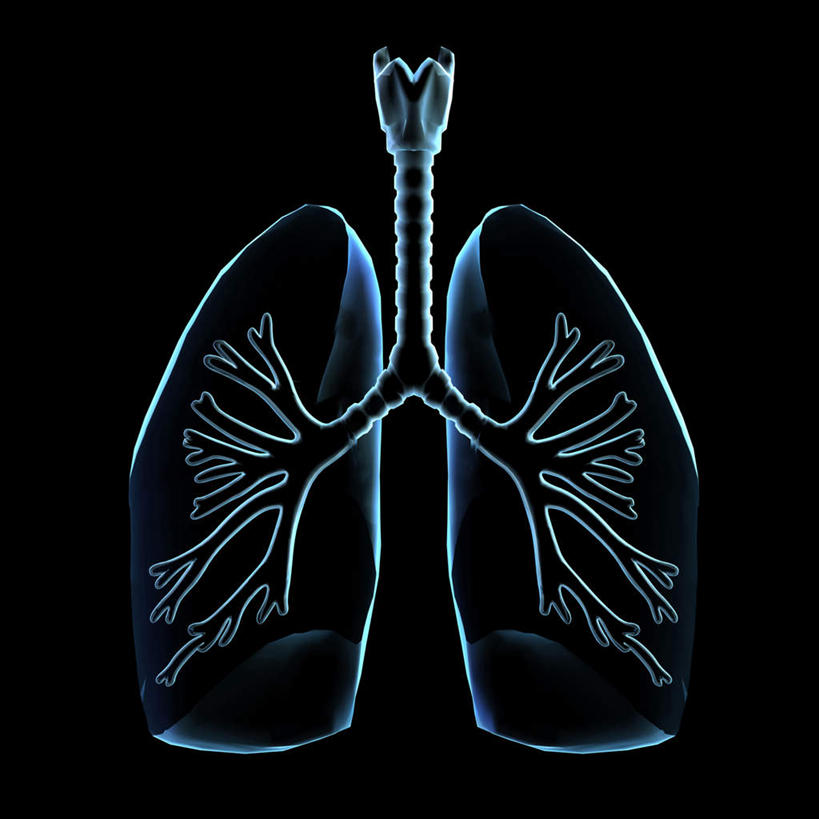 内脏,肺,气管,动脉,静脉,无人,方图,插画,x光片,室内,特写,白天,正面,数码,科技,静物,阴影,黑色背景,辐射,科学,网络,医学,高光,几何,计算机图形,合成,图画,画,模型,人体,电脑合成图,数码合成图,医疗,生物学,人体器官,科学技术,x射线,器官,合成图,x光,漫画,呼吸道,支气管,生理学,写实,具体,具象,支气管树,呼吸系统,下呼吸道,肺部,肺脏,彩图,电磁波,电磁辐射