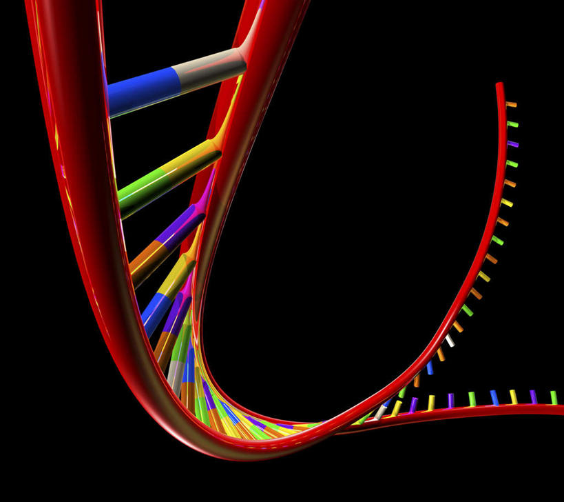 无人,横图,彩色,插画,室内,特写,白天,正面,数码,科技,阴影,黑色背景,环绕,缠绕,科学,网络,基因,高光,几何,计算机图形,合成,图画,画,生物,遗传,电脑合成图,数码合成图,脱氧核糖核酸,合成图,纠缠,漫画,写实,具体,具象,DNA分子,去氧核糖核酸,遗传信息,遗传因子,遗传学,彩图