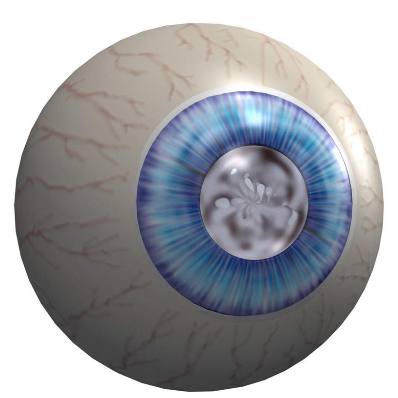 无人,方图,插画,室内,特写,白天,白色背景,正面,数码,科技,静物,瞳孔,阴影,网络,医学,高光,几何,计算机图形,合成,图画,画,一个,模型,人体,眼部,单个,电脑合成图,数码合成图,生物学,视网膜,眼球,人体器官,器官,合成图,漫画,生理学,写实,具体,具象,巩膜,角膜,视觉器官,眼房,眼球壁,眼,彩图