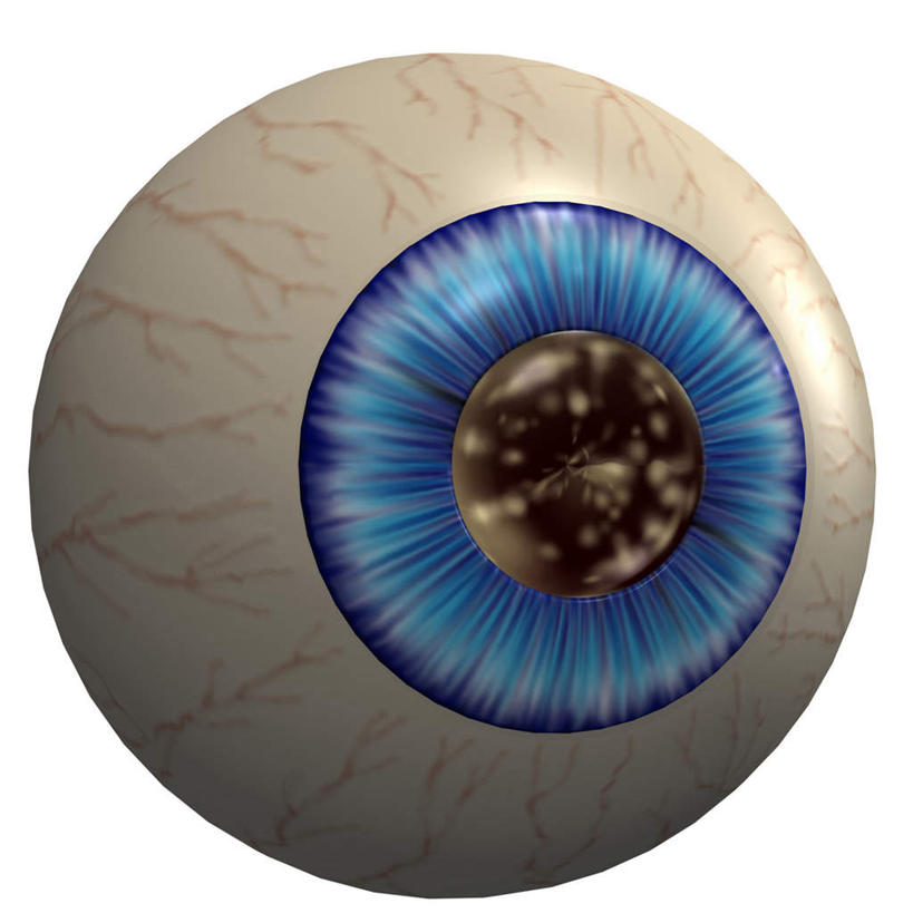 无人,方图,插画,室内,特写,白天,白色背景,正面,数码,科技,静物,瞳孔,阴影,网络,医学,高光,几何,计算机图形,合成,图画,画,一个,模型,人体,眼部,单个,电脑合成图,数码合成图,生物学,视网膜,眼球,人体器官,器官,合成图,漫画,生理学,写实,具体,具象,巩膜,角膜,视觉器官,眼房,眼球壁,眼,彩图