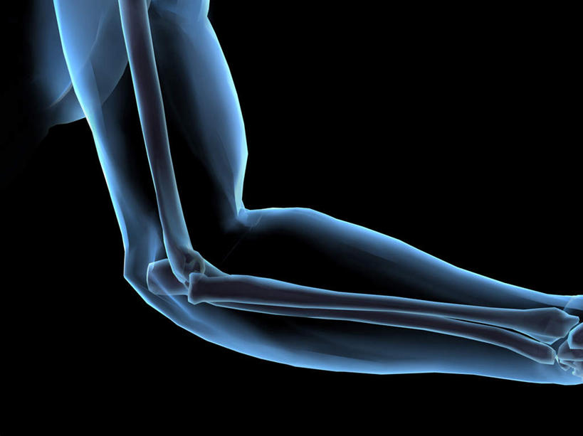 西方人,手,骨骼,一个人,无人,横图,插画,室内,特写,白天,正面,数码,科技,欧洲,欧洲人,仅一个男性,仅一个人,阴影,黑色背景,网络,骨头,高光,几何,计算机图形,合成,图画,画,仅一个年轻男性,手部,单手,电脑合成图,数码合成图,骨架,合成图,漫画,写实,具体,具象,尺骨,肱骨,桡骨,腕骨,掌骨,指骨,男人,男性,年轻男性,白种人,彩图