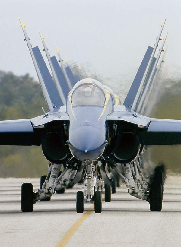 无人,机场,竖图,室外,白天,正面,草地,草坪,植物,飞机,飞机场,美国,一排,许多,停靠,整齐,界线,很多,航空,草,树,树木,排列,蓝色,绿色,蓝天,天空,自然,停机坪,天,运输,空军,生长,晴朗,成长,直升机,战斗机,北美,北美洲,界限,队列,停泊,边界,美洲,军用机,大力神运输机,运输机,美军,军用战斗机,万里无云,C-130大力神运输机,北亚美利加洲,亚美利加洲,晴空,晴空万里,彩图