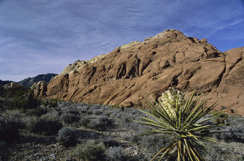 无人,公园,横图,室外,白天,正面,旅游,度假,草地,石头,美景,山,山脉,植物,美国,阴影,光线,石子,影子,景观,山顶,山峰,云,云朵,山峦,云彩,娱乐,草,蓝色,绿色,白云,蓝天,天空,阳光,自然,群山,天,享受,休闲,景色,放松,晴朗,北美,北美洲,国家公园,自然风光,美洲,内华达州,沉积岩,北亚美利加洲,亚美利加洲,内华达,北美艾灌木丛州,产银之州,银山州,银之州,颠峰,极峰,红岩峡谷,红岩峡谷国家公园,美国红岩峡谷国家公园,水成岩,石块,岩石,晴空,彩图