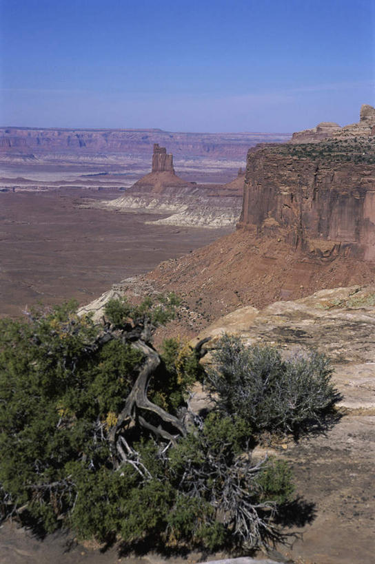 无人,公园,竖图,俯视,航拍,室外,白天,旅游,度假,美景,山,山脉,树林,植物,美国,地平线,景观,山峰,辽阔,地面,山峦,娱乐,树,树木,蓝色,绿色,蓝天,天空,自然,群山,天,享受,休闲,广阔,景色,放松,生长,晴朗,成长,一望无际,北美,北美洲,国家公园,犹他州,鸟瞰,自然风光,延伸,美洲,万里无云,峡谷地国家公园,天地相交,北亚美利加洲,亚美利加洲,犹他,蜂窝之州,蜂房州,美国峡谷地国家公园,无边无际,一马平川,晴空,晴空万里,彩图,高角度拍摄